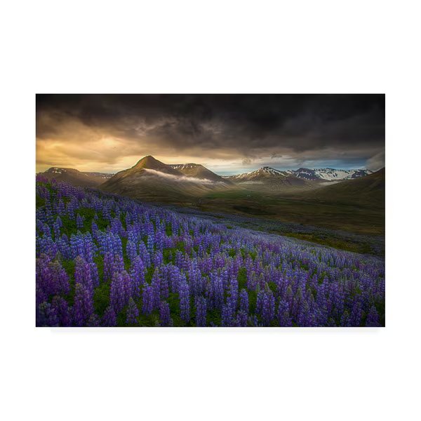 Peter Svoboda Mqep 'Blue Meadows' Canvas Art, 12x19, Trademark Fine Art, Mfr#: 1X09448-C1219GG